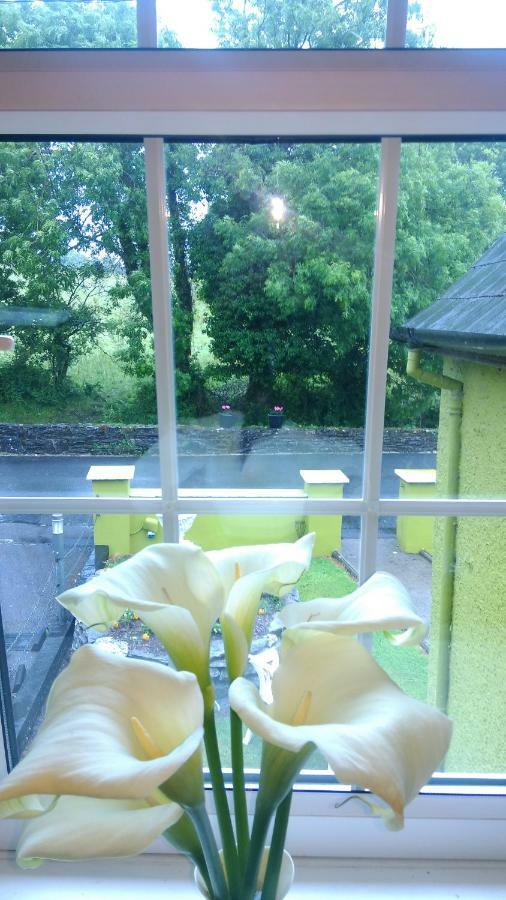 Kilgarvan Gortnaboul House B&B 외부 사진